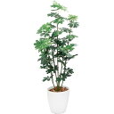 【直送】【人工観葉植物】YDM/カポック1.8m ホワイト/GLPA-004-W※返品代引不可【30】 造花(アーティフィシャルフラワー) 造花葉物 造花・人工...