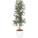 【直送】【人工観葉植物】YDM/ガジュマルタワー1.7m ホワイト/GLPA-005-W※返品代引不可【30】 造花(アーティフィシャルフラワー) 造花葉物 造...