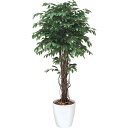 【直送】【人工観葉植物】YDM/ベンジャミンリアナ1.8m ホワイト/GLPA-006-W※返品代引不可【30】 造花(アーティフィシャルフラワー) 造花葉物 ...