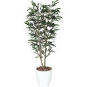 【直送】【人工観葉植物】YDM/トネリコ1.8m ホワイト/GLPA-012-W※返品代引不可【30】 造花(アーティフィシャルフラワー) 造花葉物 造花・人工...