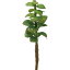 大特価◎【造花】YDM/ベンケイソウピック グリーン/FG4501-GR【01】【取寄】《 造花(アーティフィシャルフラワー) 造花葉物、フェイクグリーン 多肉植物 》