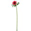 大特価◎【造花】YDM/フレッシュアネモネ ホワイトレッド/FA6926-W/R【01】【取寄】《 造花(アーティフィシャルフラワー) 造花 花材「あ行」 アネモネ 》