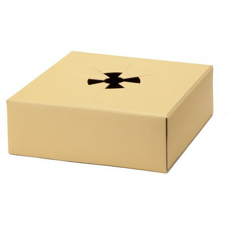 YDM/ڡѡȥ쥤M10P148X50 Y/MB003601 åԥ  åԥȢեȥܥå ꥢ(ܥå)