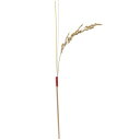 YDM/稲穂串5P/NKSD022【01】 花資材・フローリスト道具 フラワーピック 和風ピック