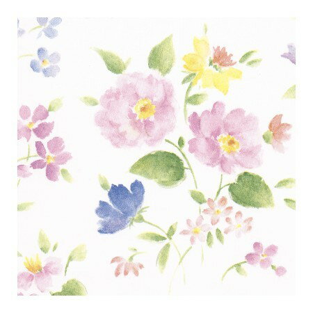 /桡֤ŤȾȽ50/49-152101 åԥ  åԥ󥰥ڡѡ() (ʿȽ)