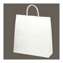 ササガワ/手提げバッグ 白無地 中 50枚袋入/50-5200【01】 ラッピング用品 、梱包資材 ラッピング袋・プレゼント袋 手提げ紙袋