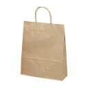 ササガワ/手提げバッグ 10パック未晒無地 小 10枚袋入/50-6101【01】 ラッピング用品 、梱包資材 ラッピング袋・プレゼント袋 手提げ紙袋