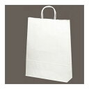 ササガワ/手提げバッグ 白無地 大 10枚袋入/50-6300【01】 ラッピング用品 、梱包資材 ラッピング袋・プレゼント袋 手提げ紙袋