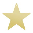 ササガワ(タカ印)/七夕飾り 星型短冊(穴アキ)・金 10枚...