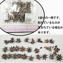 【ドライ】大地農園/スターアニス　35g　スノー/21020-982【01】【取寄】 ドライフラワー ドライ実物＆フルーツ フルーツ、香りのアイテム