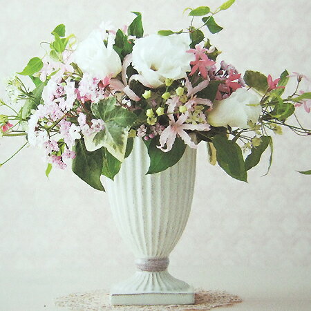 ���쥤/femi-cla��WHITE/120-229-100��01�� �ִ�꡼�� �ִ���� ƫ��ִ�