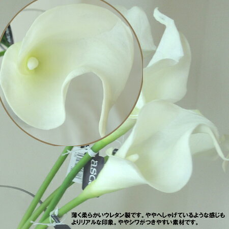 花材通販はなどんやアソシエ