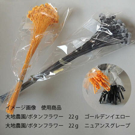 �ڥɥ饤����������/�ܥ���ե���22g��������ǥ󥤥�����/30160-520��01�� �ɥ饤�ե� �ɥ饤�ե��ֺ� �ܥ���ե�