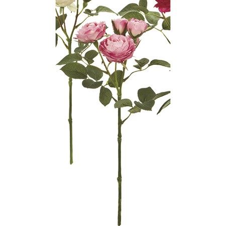 ��¤�֡�MAGIQ���Ʋ/����������� �⡼��/FM009087-042��01�� ¤�֡ʥ����ƥ��ե������ե��� ¤�� �ֺ�֤Ϲԡ� �Х�