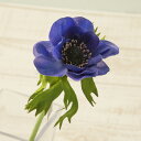 YDM/フレッシュアネモネ　ブルー/FA6926-BLU 造花（アーティフィシャルフラワー） 造花 花材「あ行」 アネモネ