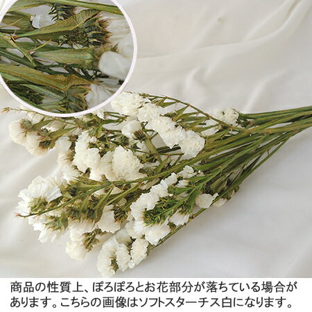 �ڥץꥶ���֥ɡ���������/������������30g���ѡ��ץ�/02450-400��01�� �ץꥶ���֥ɥե� �ץꥶ���֥ɥե��ֺ� ���� ���� �饤���ե� �֥��å��� ��¸�ù� �ֺ� �Ǻ� ���� �ѡ��� �� �ϥ�ɥᥤ�� ����ե� �ϡ��Хꥦ�� �꡼��