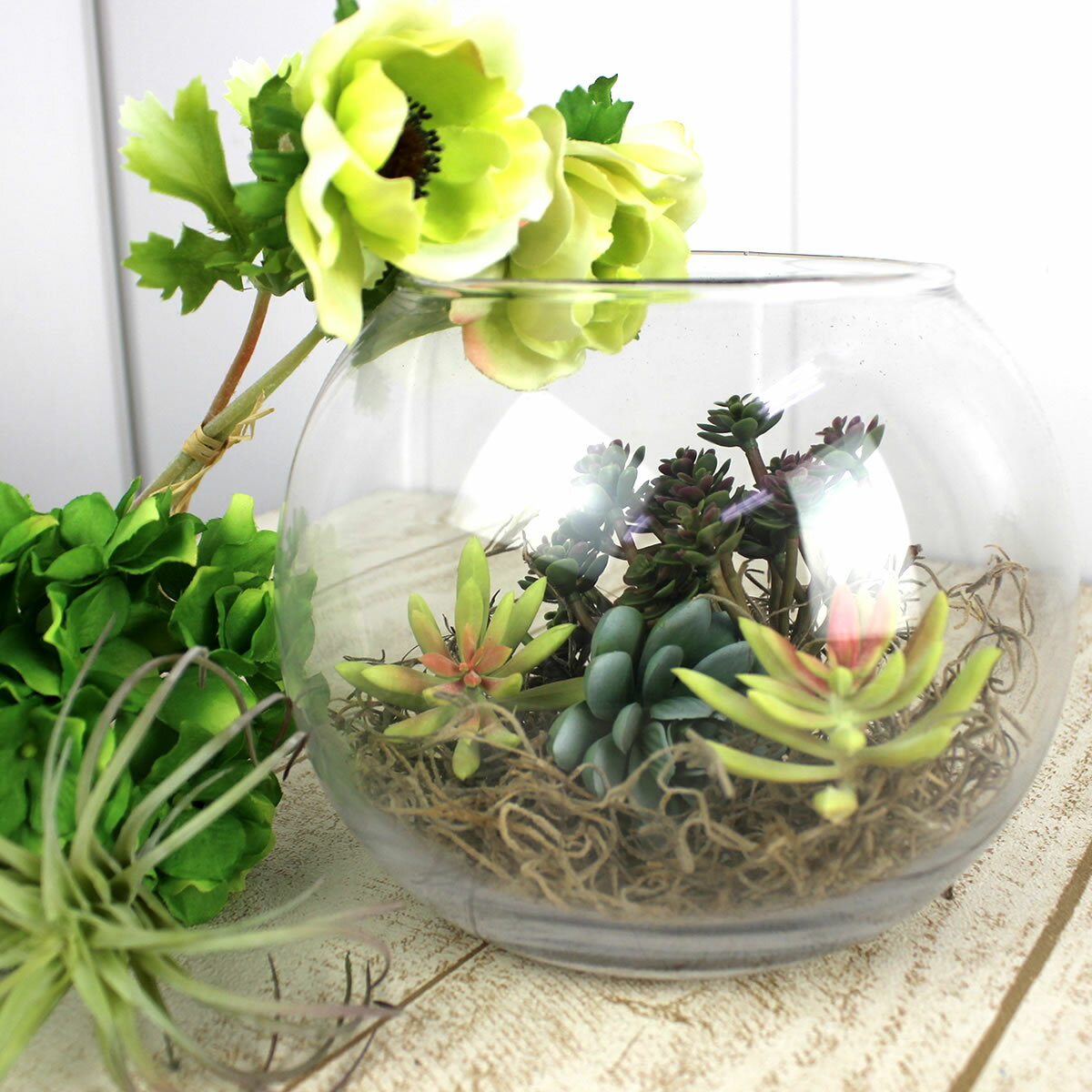 �ڥɥ饤�ۥ����ȥ졼�ǥ���/���ѥ˥å���⥹ ��50g �ʥ�����/30223��10�� �ɥ饤�ե� �ɥ饤��ʪ �⥹����