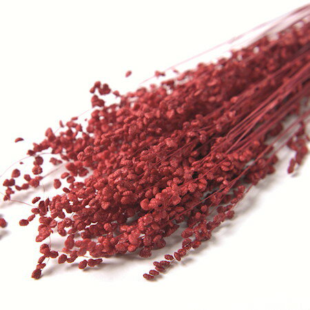 【ドライ】フロールエバー/ブリーザ　ドライ　約20g入り　レッド/FLDR0012-830【01】 ドライフラワー ..