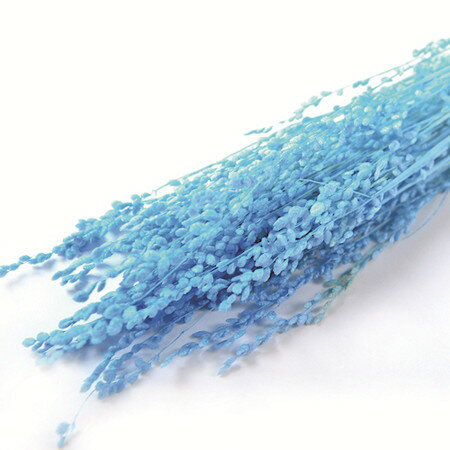 【ドライ】フロールエバー/ブリーザ　ドライ　約20g入り　ライトブルー/FLDR0012-940【01】 ドライフラ..