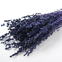 【ドライ】フロールエバー/ブリーザ ドライ 約20g入り パープル/FLDR0012-960【01】 ドライフラワー ドライフラワー花材 その他ドライフラワー