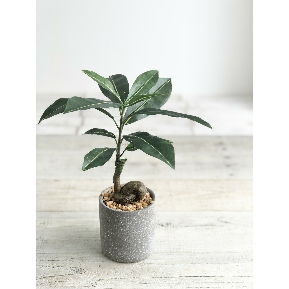 �ڿ͹����տ�ʪ��YDM/�����ҡ��Υ������ȥݥå� GR/GLA-1521-GR��01�� ¤�֡ʥ����ƥ��ե������ե��� ¤����ʪ ¤�֡��͹����տ�ʪ ���ݥå�