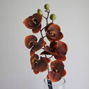 【造花】YDM/クンコウコチョウラン ブラウンイエロー/FA-7392-BRY【01】 造花(アーティフィシャルフラワー) 造花 花材「か行」 コチョウラン(胡蝶蘭)