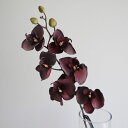 【造花】YDM/クンコウコチョウラン ワイン/FA-7392-WI【01】 造花(アーティフィシャルフラワー) 造花 花材「か行」 コチョウラン(胡蝶蘭)