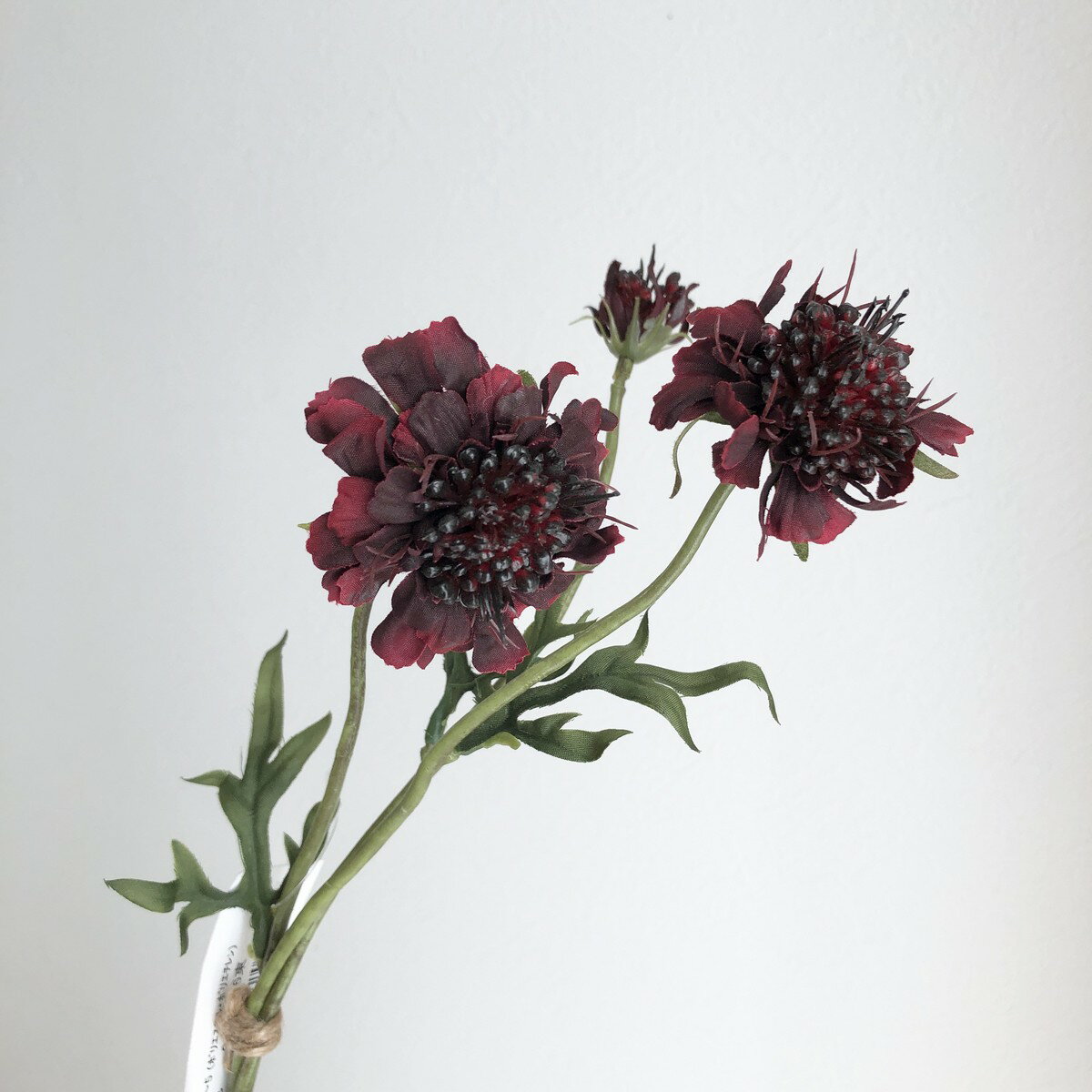 【造花】アスカ/スカビオサバンチ バーガンディ/A-34954-15【01】 造花（アーティフィシャルフラワー） 造花 花材「さ行」 スカビオサ