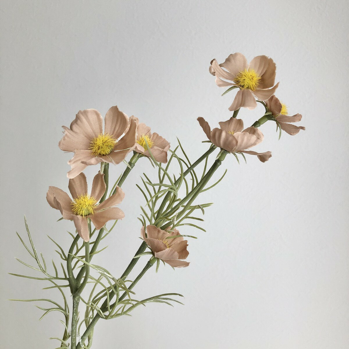 【造花】アスカ/コスモス×7 ダスティベージュ/A-34961-8D【01】 造花（アーティフィシャルフラワー） 造花 花材「か行」 コスモス