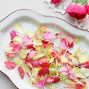 【ドライ】m flowers/カーネーション ドライ 花びらミックス【10】 ドライフラワー ドライフラワー花材 その他ドライフラワー