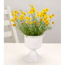 セロン/コンポート#115M 白/F0100【01】 花器、リース 花器・花瓶 プラスチック・アクリル花器