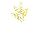 【造花】MAGIQ東京堂/ハニードロップオンシジューム YELLOW 1/FM007914【01】 造花(アーティフィシャルフラワー) 造花 花材「あ行」 オンシジューム