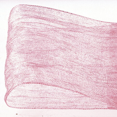 東京リボン/リプレ　65×10M　＃60/36-36900-60【01】 リボン オーガンジーリボン デザインオーガンジーリボン