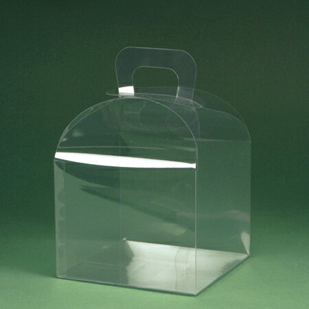 キャリーケースL 10枚入り/UK216【01】 ラッピング用品 、梱包資材 ラッピング箱・ギフトボックス クリアケース(ボックス)