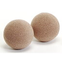 オアシス/セック球16 2個/D2112【01】 花資材・フローリスト道具 フローラルフォーム(オアシス) ドライフラワー用