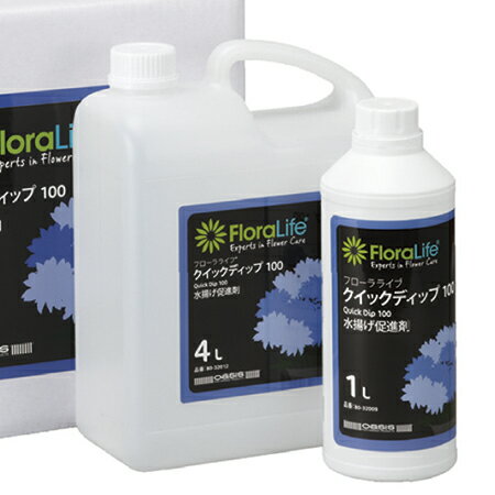 オアシス/フローラライフ　クイックディップ100水揚促進剤　4L 4000/80-32012【01】 花資材・フローリスト道具 切花延命剤・栄養剤 水揚げ促進剤