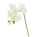 【造花】MAGIQ東京堂/レイナファレノ #1 WHITE/FM005189-001【01】 造花(アーティフィシャルフラワー) 造花 花材「か行」 コチョウラン(胡蝶蘭)