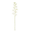 【造花】MAGIQ東京堂/ピュアデンドロビウム #1 WH/GR/FM001577-001【01】 造花(アーティフィシャルフラワー) 造花 花材「か行」 コチョウラン(胡蝶蘭)