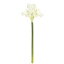 【造花】MAGIQ(東京堂)/セルフィアマリリス #1 WHITE/FM110238-001【01】【取寄】《 造花(アーティフィシャルフラワー) 造花 花材「あ行」 アマリリス 》