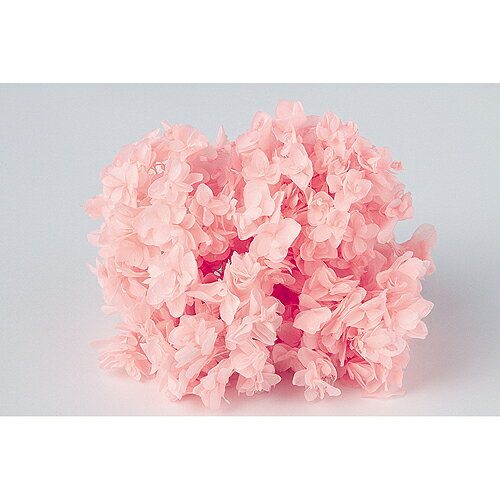 【プリザーブド】東花/ソフトあじさい柏葉 ピンク 約2輪/64199【01】 プリザーブドフラワー プリザーブドフラワー花材 あじさい（紫陽花）