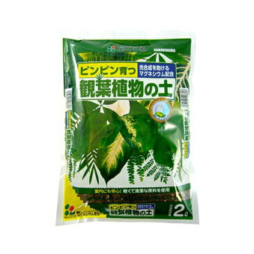 花ごころ/観葉植物の土 2リットル/101156【01】【取寄】《 ガーデニング用品 用土 用土、培養土 》