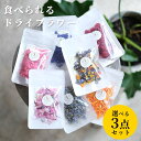 【まとめ買い】 共立食品 ホームメイド デコペン ピンク 10g x5個セット 食品 セット セット販売 まとめ(代引不可)