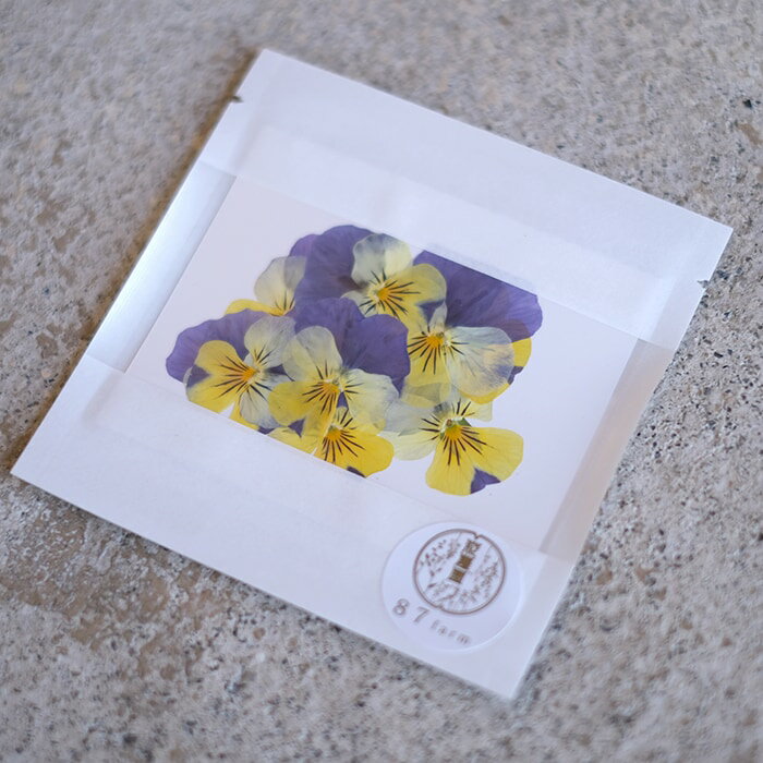 ���ǥ��֥�ե� �ɥ饤 �֤Ӥ� ������ ���Ѳ� �ɥ饤�ե� �ӥ��� �Ҥ����⤫ 10�� ���� �ǥ��졼����� ����� ������ �ץ쥼��� �ѥ󥸡� ���ߥ� ���ե� ���� �ʥ����� ���츩 �᡼�����б� �������󥰥��å��� ������ �ۥåȥ�����