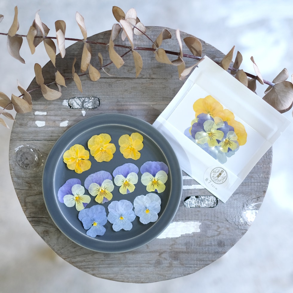 ���ǥ��֥�ե� �ɥ饤 �֤Ӥ� ������ ���Ѳ� �ɥ饤�ե� �ӥ��� �ߥå��� 10�� ���� �ǥ��졼����� ���٤��� �� ������ �ץ쥼��� ���ե� ���� �ʥ����� ���츩 �᡼�����б� �������󥰥��å��� ������ ����