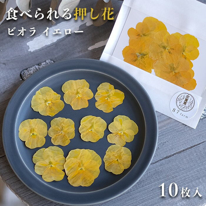 楽天エディブルフラワーの87farmエディブルフラワー ドライ 花びら 押し花 食用花 ドライフラワー ビオラ イエロー 10枚 乾燥 デコレーション 食べられる 花 誕生日 プレゼント ギフト 自然 ナチュラル 滋賀県 メール便対応 アイシングクッキー ケーキ 押花