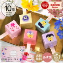 楽天創作和洋菓子　花えちぜん【ポイント10倍】母の日 プレゼント スイーツ 母の日ギフト 帰省土産 月間MVP受賞 あす楽 送料無料 【めざましテレビで紹介されました】バウムクーヘン エディブルフラワー ロリポップ カーネーション 花 スイーツ ギフト お取り寄せ お花 誕生日 内祝い 転勤 退職 洋菓子