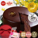 25日限定5％OFFクーポン！ 五島軒 公式 ベルギーチョコレートケーキ 函館 五島軒 ギフト ベルギーチョコレート 冷凍 スイーツ ホワイトデー 御中元