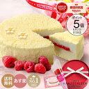 老舗の名物 チーズケーキ タルト 6号 約18cm お菓子のさかい ギフト 誕生日 入学 進学 お祝い ケーキ 母の日 父の日 お祝い スイーツ プレゼント 贈り物 お中元 お歳暮 送料無料