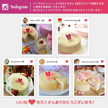 夏の贈り物 夏ギフト 残暑見舞い 敬老の日 送料無料 あす楽 ギフト スイーツ 天使のドゥーブルフロマージュ 4号 誕生日 バースデーケーキ 出産祝い 内祝い 還暦祝い 出産内祝い 結婚祝い お祝い お返し 喜寿祝い 洋菓子 お取り寄せスイーツ