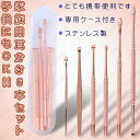 br21#耳かき 日本国内当日発送 6本セット 耳くそ 耳垢 みみかき 耳掃除 大きい 小さい 手入れ ステンレス製 自宅用 ポイント消化 専用ケース付き 送料...